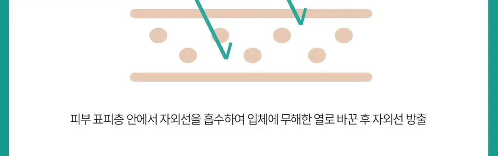 [용량 리뉴얼/씨프렌들리]부쉬맨 워터프루프 서핑 선스틱 20g 기획 (+ 데일리 선크림 20ml) 상세페이지 16